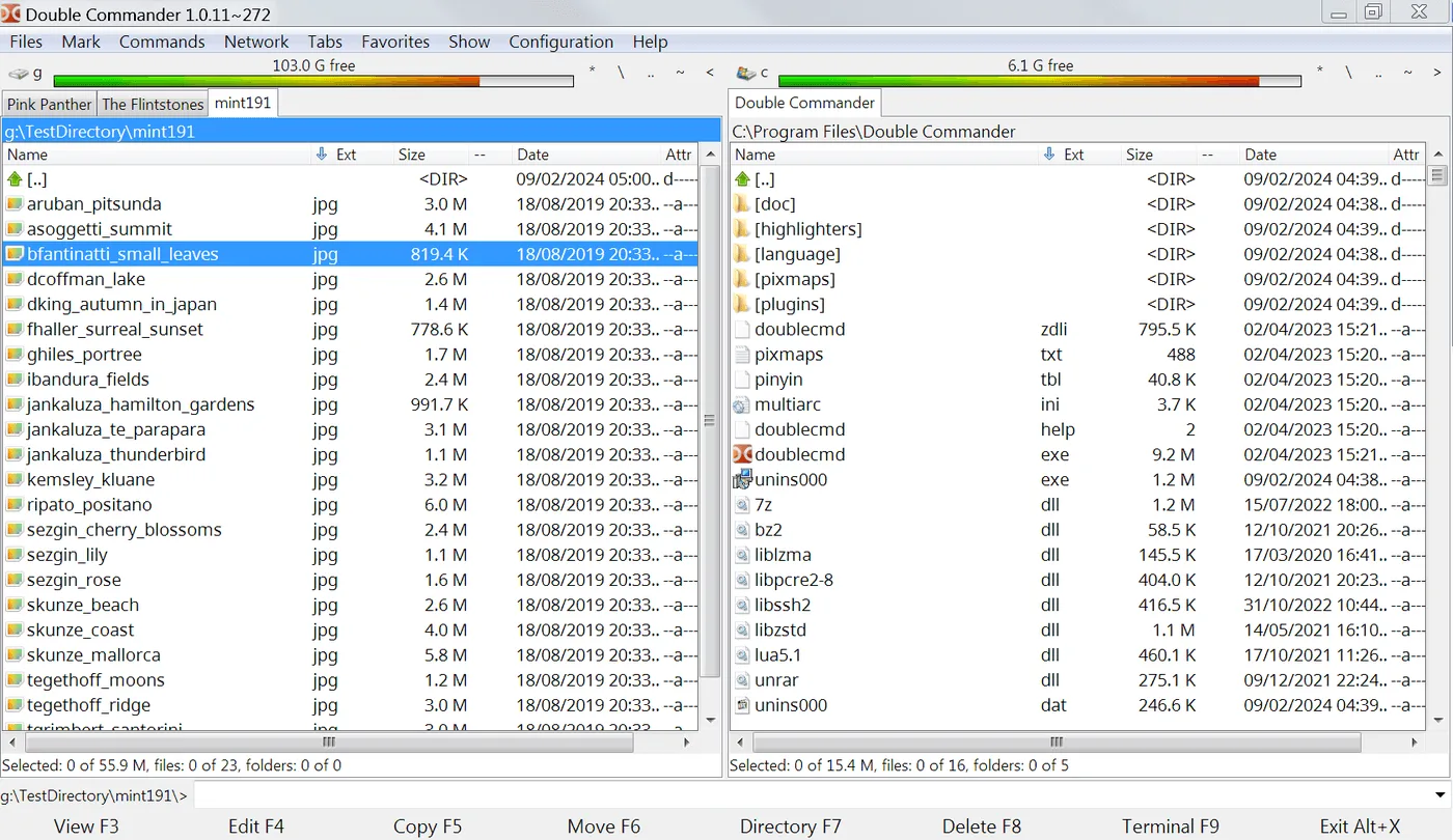 File manager dual-pane window in Double Commander showing two folder panels side by side.